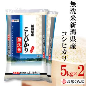 精米 きぬむすめ 島根県産きぬむすめ 5kg 送料無料 令和7年産 お米