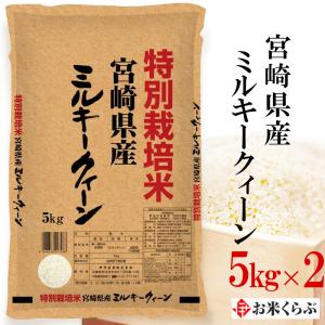 愛知県産ミルキークイーン 玄米10kg ミルキークイーン 【令和6年・愛知県豊橋産】ミルキークイーン