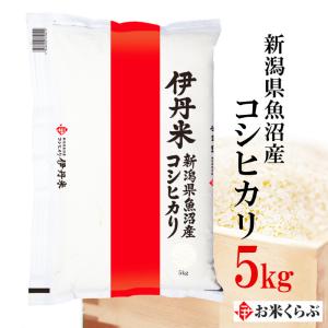 精米 魚沼産コシヒカリ 令和5年産 5kg 伊丹米 魚沼 こしひかり お米 送料無料 精米 コシヒカリ 魚沼産 ギフト プレゼント 内祝い 熨斗承ります｜itamimai