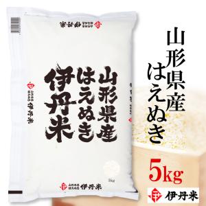 山形県産はえぬき お米 5kg  令和3年産 はえぬき 5kg 伊丹米 白米 ギフト 熨斗承ります