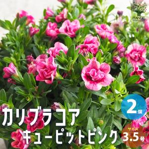 送料無料】野菜畑・花畑の土 約40L : shopooo by GMO - 通販 - Yahoo