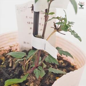 クレマチス 水面の妖精 花苗 4号/1個売り ...の詳細画像5