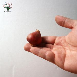 ITANSE 訳あり花球根ガチャ 花球根 /お...の詳細画像3
