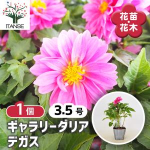 税率 10%（税込）