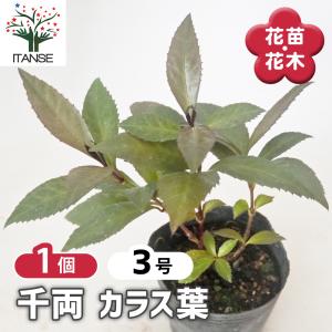 税率 10%（税込）