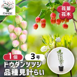 税率 10%（税込）