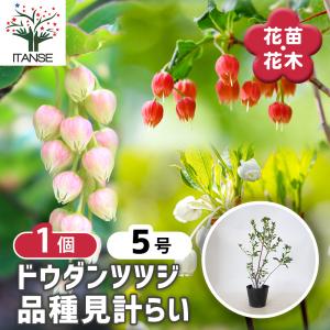 税率 10%（税込）
