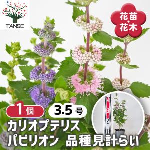 税率 10%（税込）