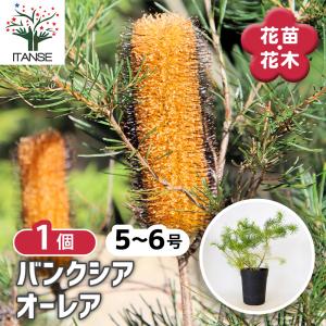 税率 10%（税込）