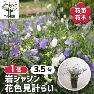 税率 10%（税込）