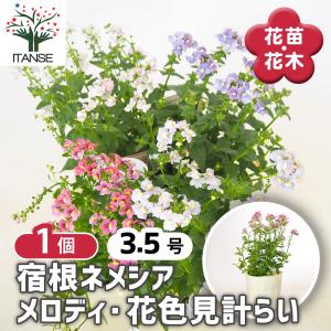 税率 10%（税込）