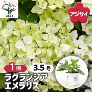 税率 10%（税込）