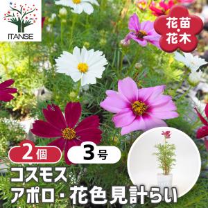 商品別ポイント変倍
