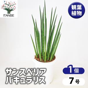 税率 10%（税込）