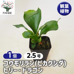 税率 10%（税込）