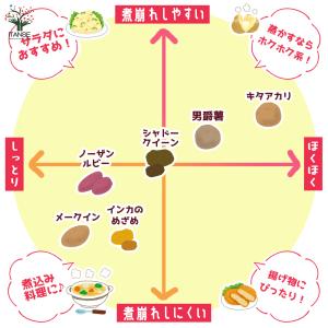 ITANSE じゃがいもの種芋 品種:メークイ...の詳細画像4