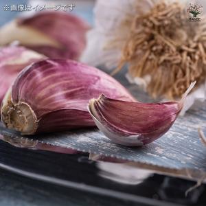 赤ニンニク 野菜の苗 10片/1個売り 種球 ...の詳細画像1