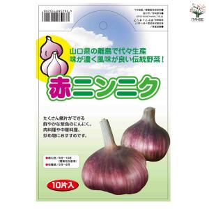 赤ニンニク 野菜の苗 10片/1個売り 種球 ...の詳細画像2