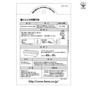 赤ニンニク 野菜の苗 10片/1個売り 種球 ...の詳細画像5
