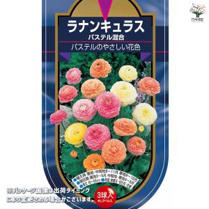 球根 ラナンキュラス パステル 混合 花球根 ...の詳細画像1