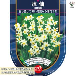 球根 水仙房咲き 日本水仙 花球根 2球/1個...の詳細画像1