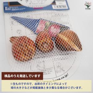 花球根 チューリップ 八重咲き ダブルシュガー...の詳細画像2
