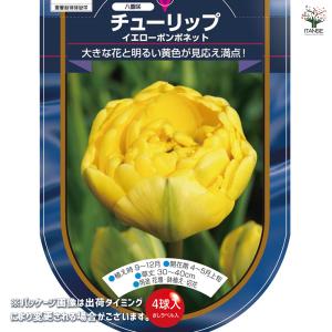 花球根 チューリップ 八重咲き イエローポンポ...の詳細画像1