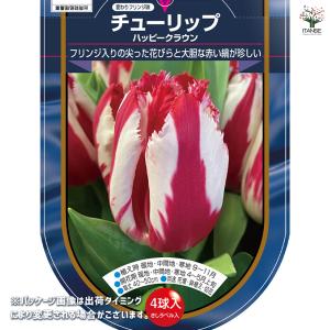 花球根 チューリップ フリンジ咲き ハッピーク...の詳細画像1