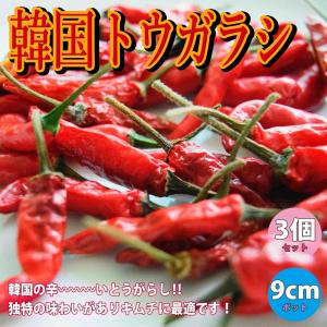 ITANSE トウガラシの苗 韓国とうがらし 野...の商品画像