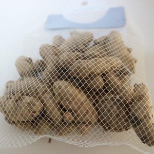 ITANSE 種芋 紫ウコン 200g 1個 ...の詳細画像3