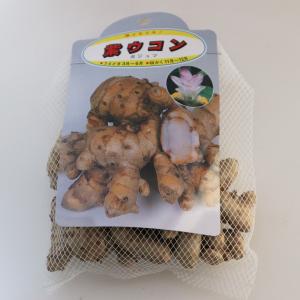 ITANSE 種芋 紫ウコン 200g 2個 ...の詳細画像1