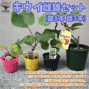 キウイ花粉の商品一覧 通販 Yahoo ショッピング