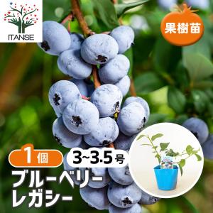 税率 10%（税込）