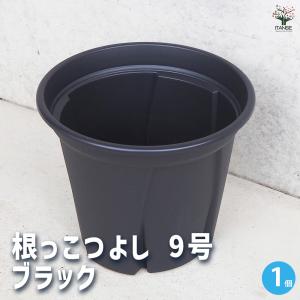 資 ソリ大鉢L TD-747L 送料無料 植木鉢 kei : フラワーネット日本花キ