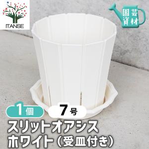 ローラアシュレイ Laura Ashley ファイバークレイ キューブライト