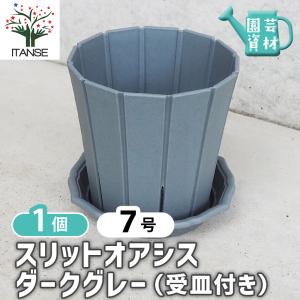 12号角深鉢】ロサオリエンティス コレクターズポット【プレミアローズ