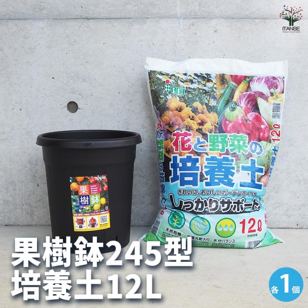 ITANSE 植木鉢 果樹鉢&amp;培養土12L プラ鉢 245型&amp;培養土12L/1個売り ハンドリーポッ...