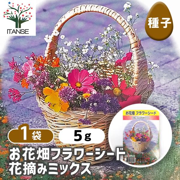 種子 お花畑フラワーシード 花摘みミックス 約5g/1袋売り 種 seed タネ 植物の種 栽培 ガ...