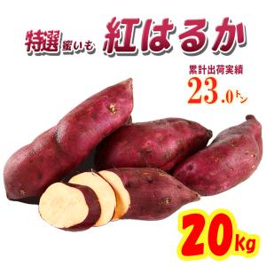 さつまいも 紅はるか 茨城県産 20kg 2021秋 新芋土つき べにはるか