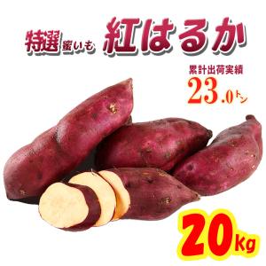 さつまいも 紅はるか 茨城県産 20kg 2021秋 新芋土つき べにはるか 薩摩芋 蜜芋の商品画像