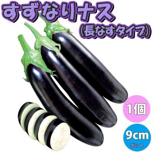 ITANSE トマト苗 キュウリ苗 ナス苗 厳...の詳細画像4
