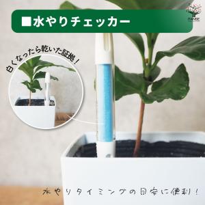 園芸資材セット 資材 NO.5/1個売り 園芸...の詳細画像4