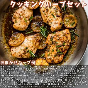 ITANSE ハーブ苗 おまかせハーブ 10....の詳細画像5