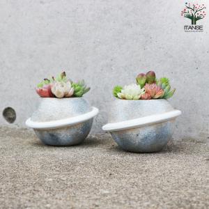 多肉寄せ植え プラネット 多肉植物 グレー/1...の詳細画像5