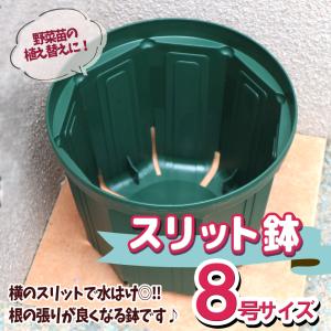スリット鉢 おしゃれの商品一覧 通販 Yahoo ショッピング