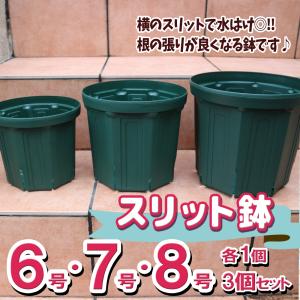 スリット鉢 おしゃれの商品一覧 通販 Yahoo ショッピング