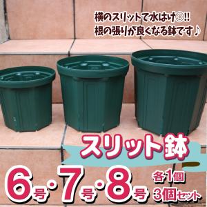 ITANSE 人気の植木鉢 スリット鉢 6号・7号・8号 各1個 合計3個セット 野菜 花 果樹 ハーブのプランターとして人気 送料無料 イタンセ公式｜itanse