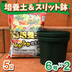 スリット鉢 おしゃれの商品一覧 通販 Yahoo ショッピング