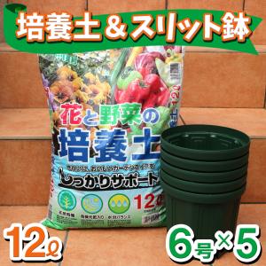 ITANSE 人気のスリット鉢と花と野菜の培養土のお買い得セット(スリット鉢6号5個＆培養土12L1個) 野菜 花 果樹 ハーブ プランター 送料無料 イタンセ公式｜itanse