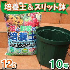 スリット鉢 おしゃれの商品一覧 通販 Yahoo ショッピング